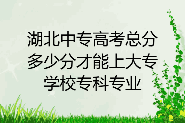 湖北中专高考总分多少分才能上大专学校专科专业
