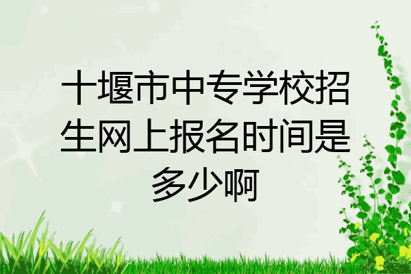 十堰市中专学校招生网上报名时间是多少啊