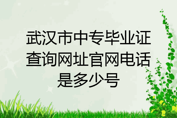 武汉市中专毕业证查询网址官网电话是多少号