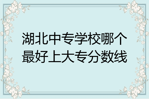 湖北中专学校哪个最好上大专分数线
