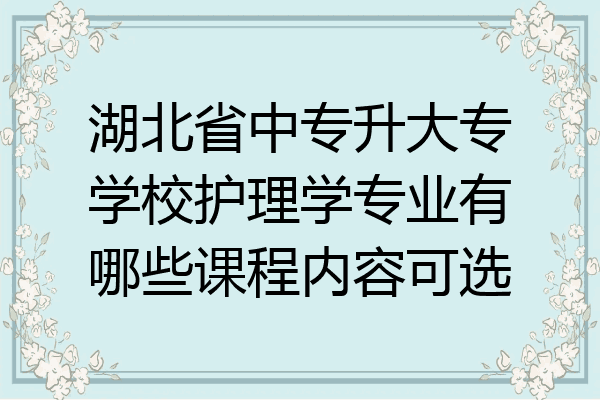 湖北省中专升大专学校护理学专业有哪些课程内容可选