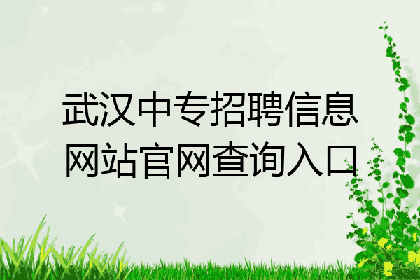 武汉中专招聘信息网站官网查询入口
