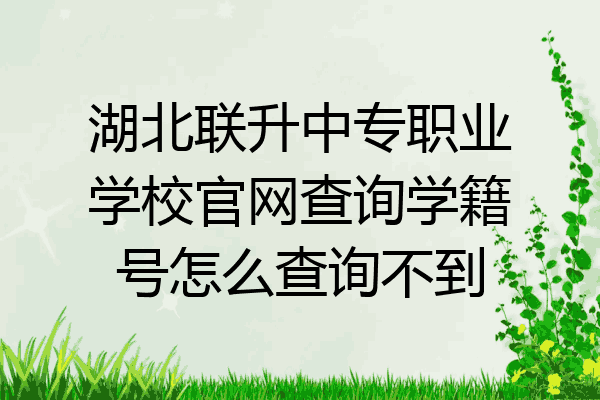 湖北联升中专职业学校官网查询学籍号怎么查询不到