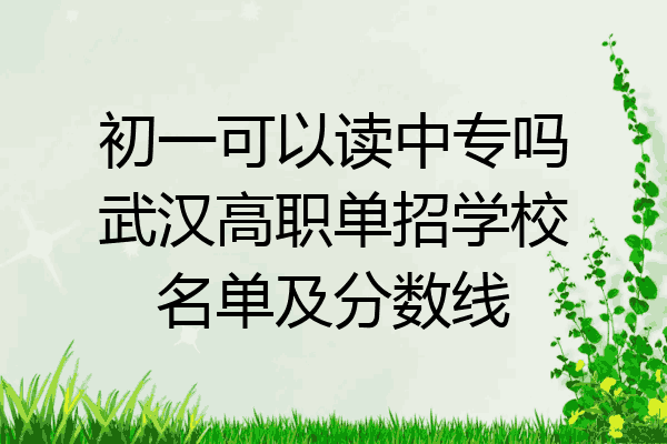 初一可以读中专吗武汉高职单招学校名单及分数线