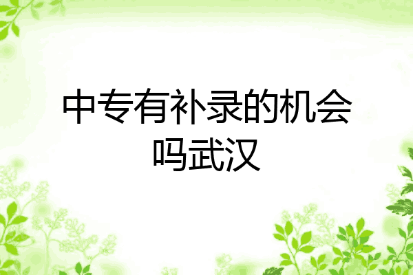 中专有补录的机会吗武汉