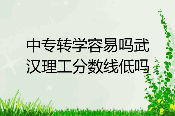 中专转学容易吗武汉理工分数线低吗