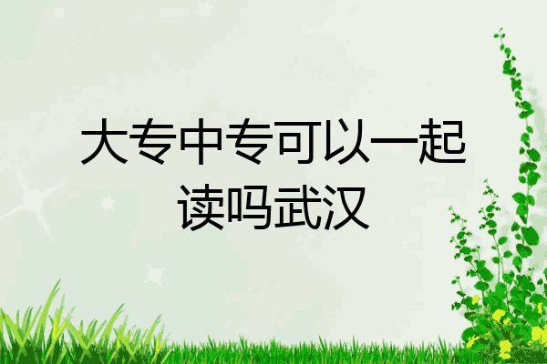 大专中专可以一起读吗武汉