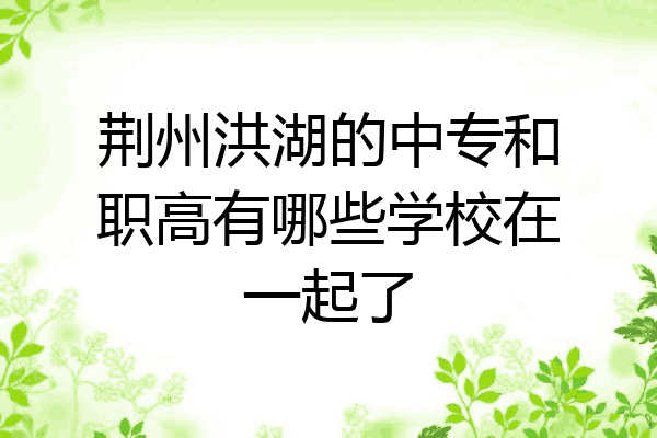 荆州洪湖的中专和职高有哪些学校在一起了