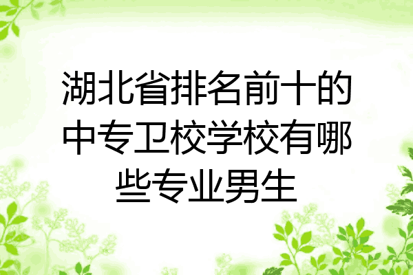 湖北省排名前十的中专卫校学校有哪些专业男生
