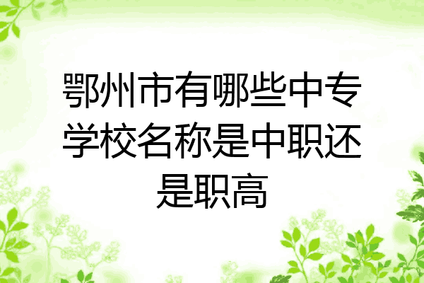 鄂州市有哪些中专学校名称是中职还是职高