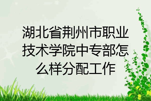 湖北省荆州市职业技术学院中专部怎么样分配工作