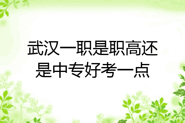 武汉一职是职高还是中专好考一点
