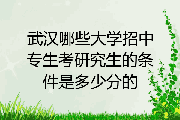 武汉哪些大学招中专生考研究生的条件是多少分的