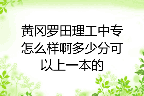 黄冈罗田理工中专怎么样啊多少分可以上一本的