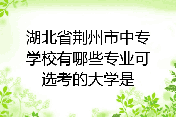 湖北省荆州市中专学校有哪些专业可选考的大学是