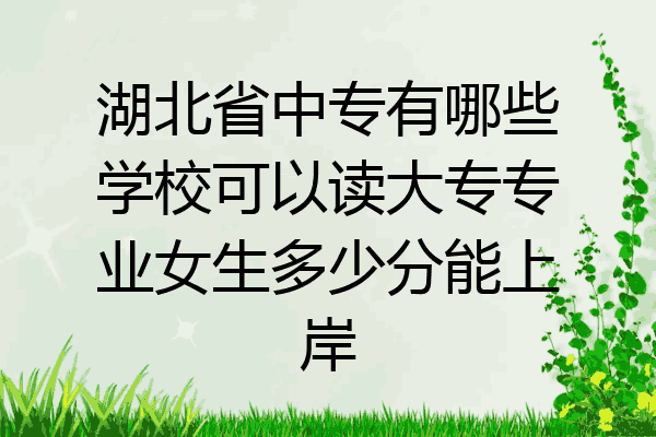 湖北省中专有哪些学校可以读大专专业女生多少分能上岸