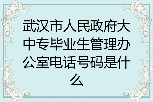 武汉市人民政府大中专毕业生管理办公室电话号码是什么