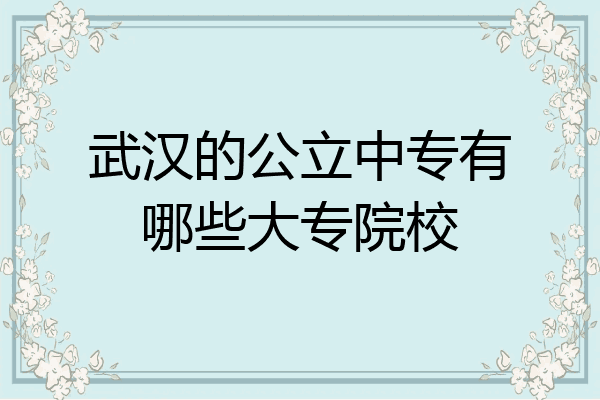 武汉的公立中专有哪些大专院校