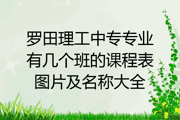 罗田理工中专专业有几个班的课程表图片及名称大全