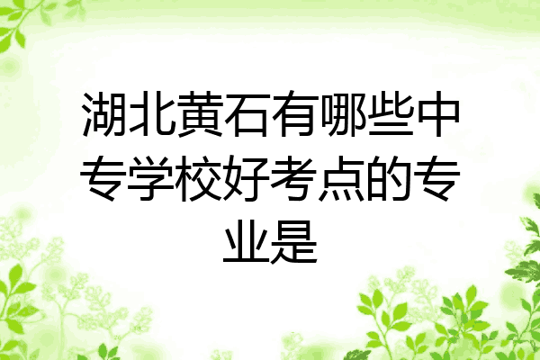 湖北黄石有哪些中专学校好考点的专业是
