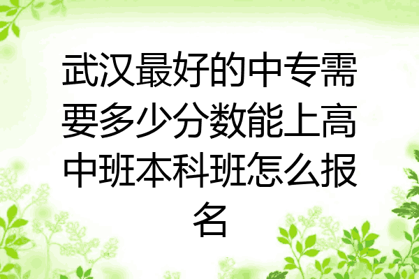 武汉最好的中专需要多少分数能上高中班本科班怎么报名