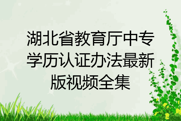 湖北省教育厅中专学历认证办法最新版视频全集