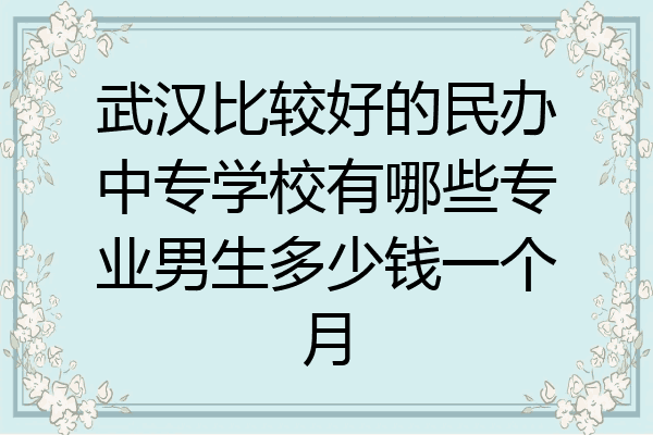 武汉比较好的民办中专学校有哪些专业男生多少钱一个月