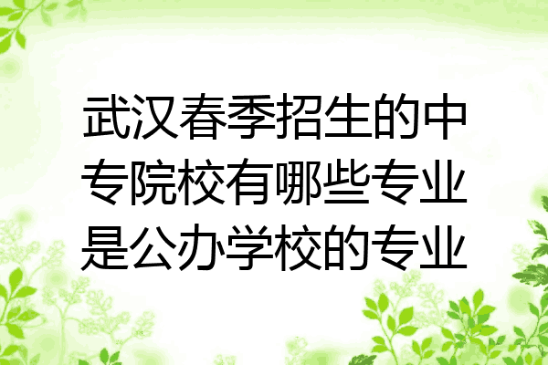 武汉春季招生的中专院校有哪些专业是公办学校的专业