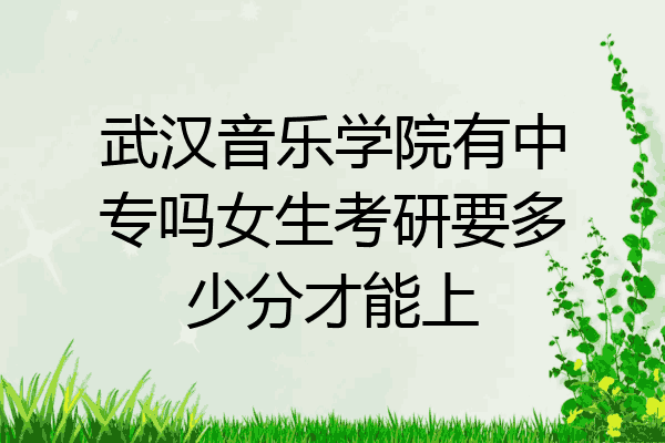 武汉音乐学院有中专吗女生考研要多少分才能上