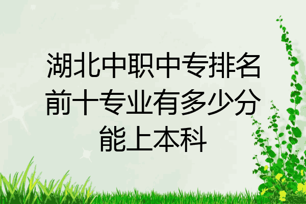 湖北中职中专排名前十专业有多少分能上本科