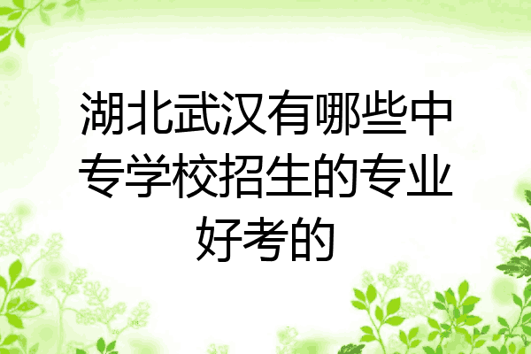 湖北武汉有哪些中专学校招生的专业好考的
