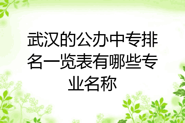 武汉的公办中专排名一览表有哪些专业名称
