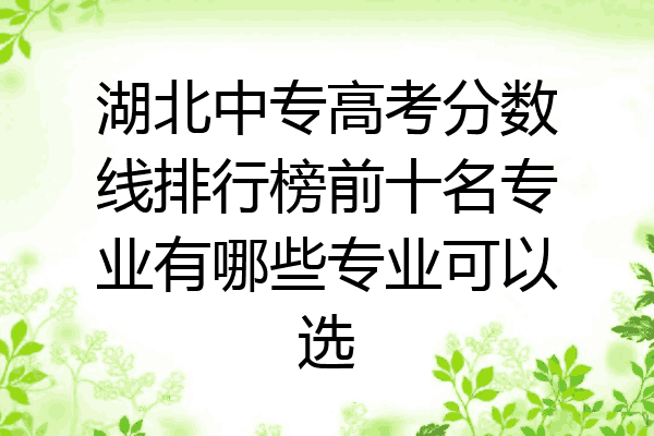 湖北中专高考分数线排行榜前十名专业有哪些专业可以选