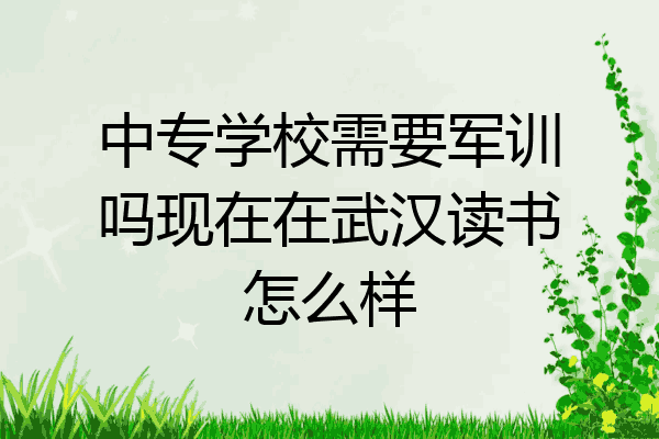 中专学校需要军训吗现在在武汉读书怎么样