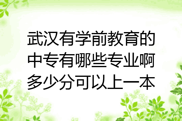 武汉有学前教育的中专有哪些专业啊多少分可以上一本
