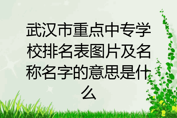 武汉市重点中专学校排名表图片及名称名字的意思是什么