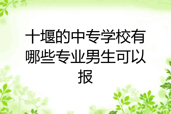 十堰的中专学校有哪些专业男生可以报