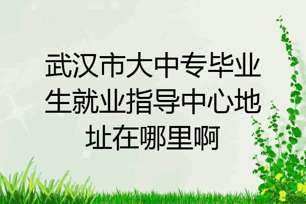 武汉市大中专毕业生就业指导中心地址在哪里啊