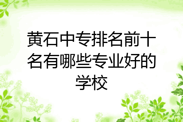 黄石中专排名前十名有哪些专业好的学校
