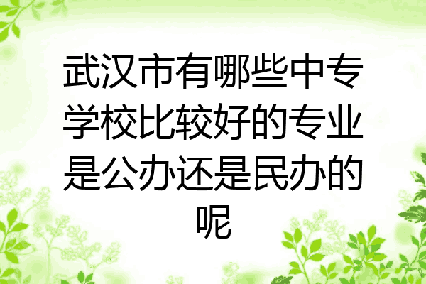 武汉市有哪些中专学校比较好的专业是公办还是民办的呢