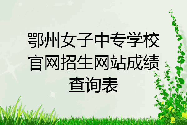 鄂州女子中专学校官网招生网站成绩查询表