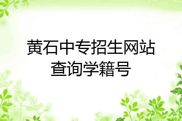 黄石中专招生网站查询学籍号