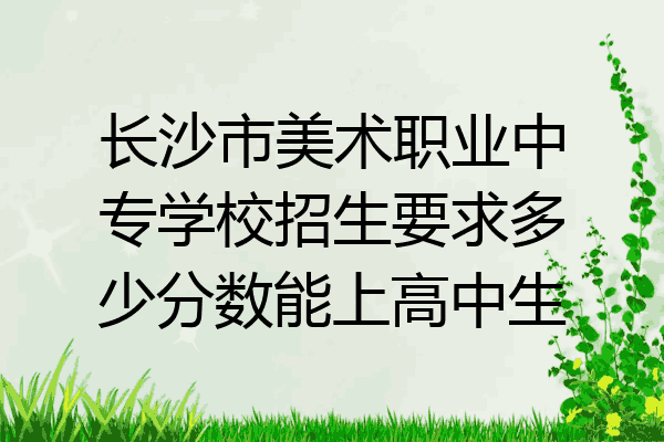 长沙市美术职业中专学校招生要求多少分数能上高中生