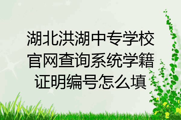 湖北洪湖中专学校官网查询系统学籍证明编号怎么填
