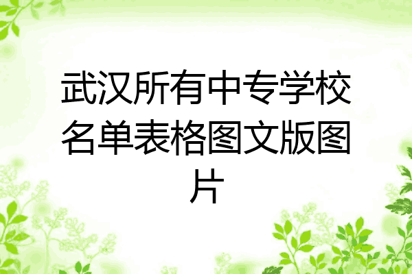 武汉所有中专学校名单表格图文版图片