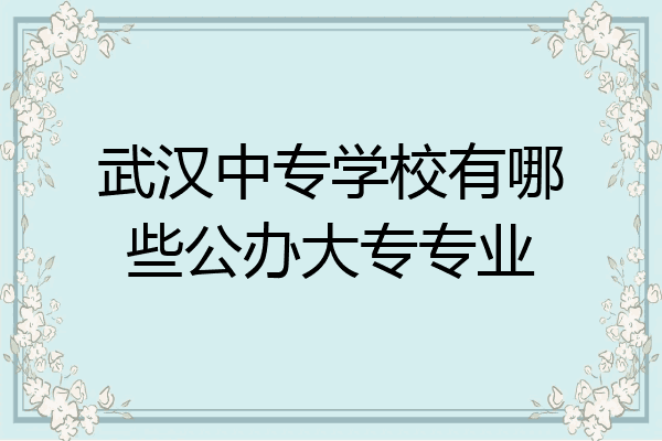武汉中专学校有哪些公办大专专业