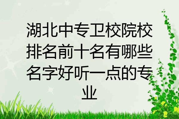 湖北中专卫校院校排名前十名有哪些名字好听一点的专业
