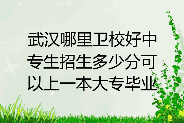 武汉哪里卫校好中专生招生多少分可以上一本大专毕业