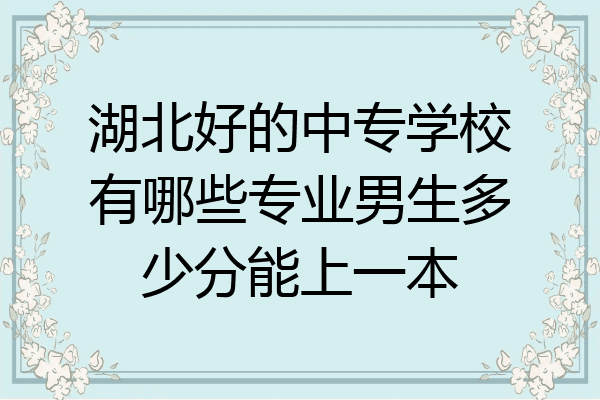 湖北好的中专学校有哪些专业男生多少分能上一本