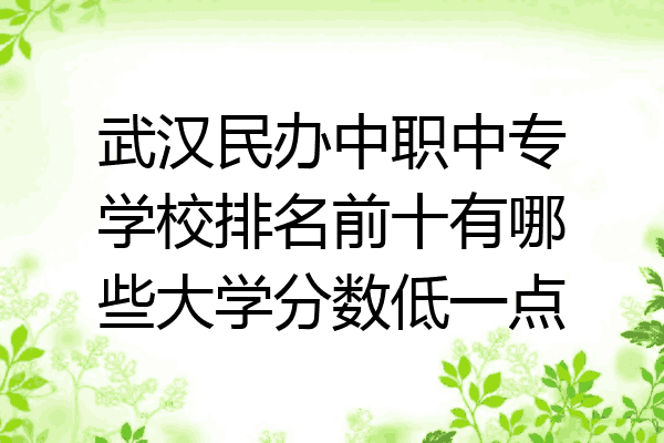 武汉民办中职中专学校排名前十有哪些大学分数低一点